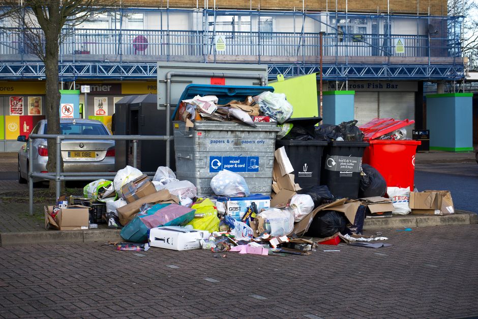 The true cost of litter